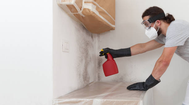 Professional Basement Mold Remediation technician working in West Grove, PA
