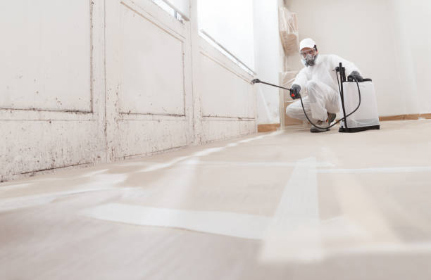 24/7 Emergency Basement Mold Remediation experts in West Grove, PA